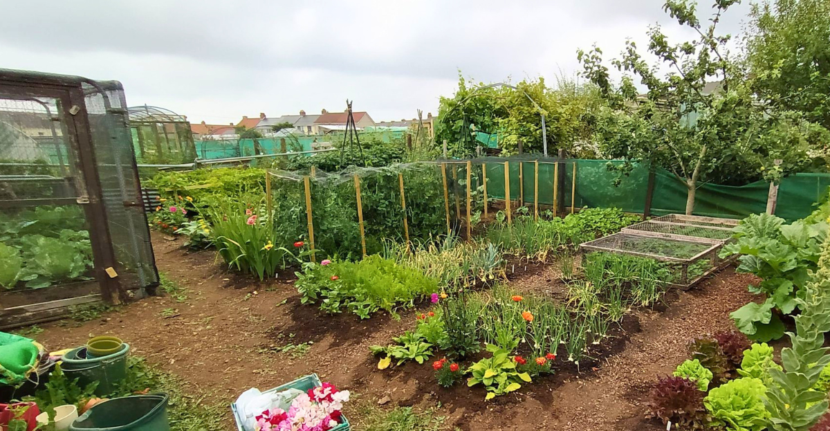 Mixed allotment protection